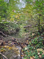 IMG_20241003_162748792_HDR_AE[1].jpg