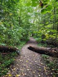 IMG_20241003_163024078_HDR_AE[1].jpg