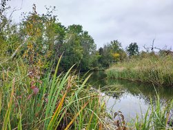 IMG_20241003_164029040_HDR_AE[1].jpg