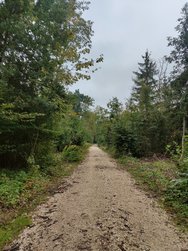 IMG20241003162249.jpg