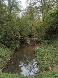 IMG20241003162655.jpg