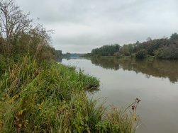 IMG20241003163420.jpg