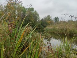 IMG20241003164014.jpg