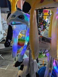 1000008244.jpg