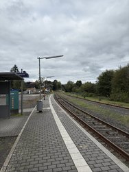 IMG_3253.jpeg