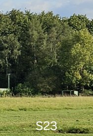 20240914_172811.jpg