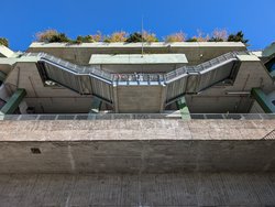 PXL_20241004_093246472.jpg
