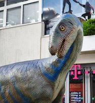 IMG_20241005_113948.jpg