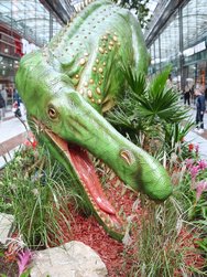 IMG_20241005_113843.jpg