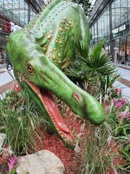 IMG_20241005_113854.jpg