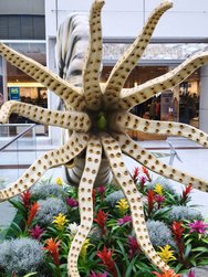IMG_20241005_113658.jpg