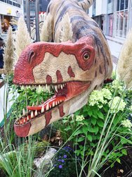 IMG_20241005_113723.jpg
