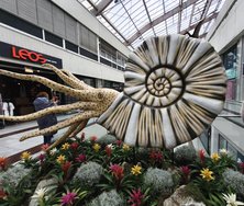IMG_20241005_113715.jpg