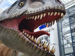 IMG_20241005_112312.jpg