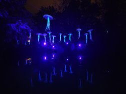 IMG_20241003_214316.jpg