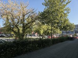 20241005_125439.jpg