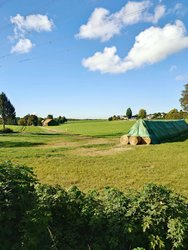 20241005_111141 (1) (1).JPG
