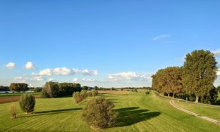 20241005_173327.JPG