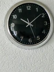 20241006_100735.jpg