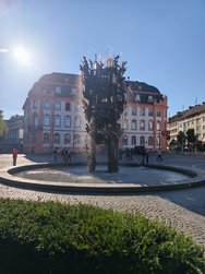 IMG_20241005_103034.jpg