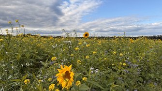 IMG_1989.jpeg