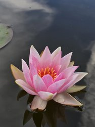 20241006_171624.jpg