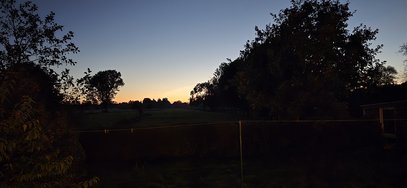 20241005_194132.jpg