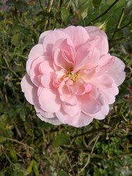 PXL_20241007_095855282.jpg