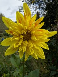 PXL_20241007_095942124.jpg