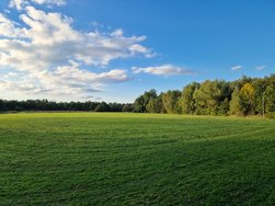 20241005_173541.jpg