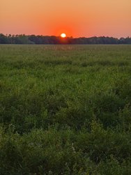 IMG_20240828_195104.jpg