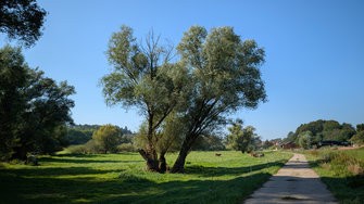 PXL_20240920_130548.jpg