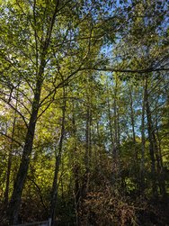 javav47inst_20241008_103251848.jpg