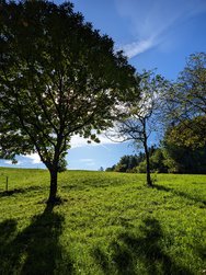 javav47inst_20241008_103207678.jpg