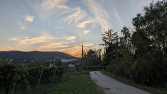 PXL_20240922_164623816.jpg
