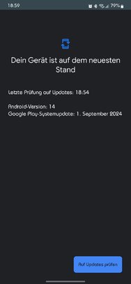 Screenshot_20241008_185936_Google Play Store.jpg