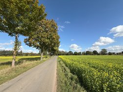 IMG_2066.jpeg