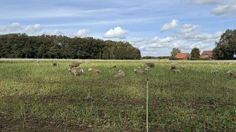 IMG_2077.jpeg