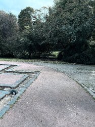 IMG_0408.jpeg