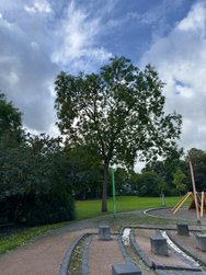 IMG_0389.jpeg