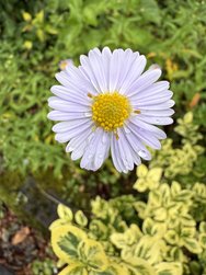 IMG_0295.jpeg