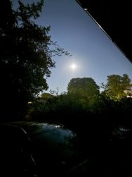IMG_0129.jpeg