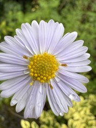 IMG_0293.jpeg