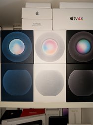 PXL_20241009_152735864.jpg