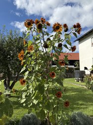 IMG_9114.jpeg