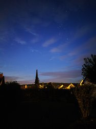 IMG_20241008_062825.jpg