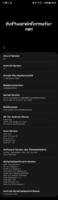Screenshot_20241010_195547_Settings.jpg