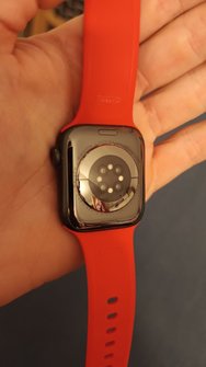 IMG_0800.jpeg