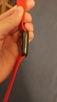 IMG_0798.jpeg