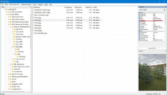Exif Pilot 2.jpg